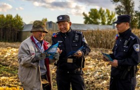 风吹麦浪收获忙 “向阳”金秋“警”护航 ——哈尔滨市公安局香坊分局向阳派出所开展秋收护农工作